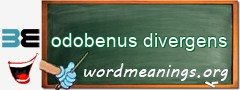 WordMeaning blackboard for odobenus divergens